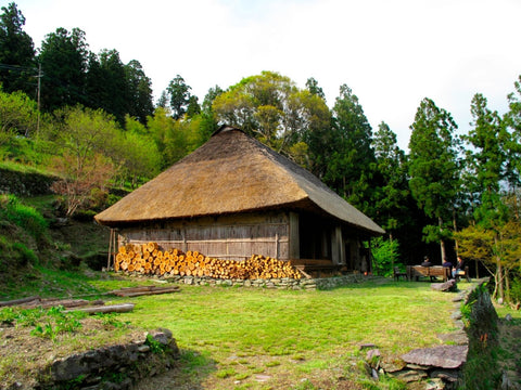 Chiiori Iya Valley Shikoku